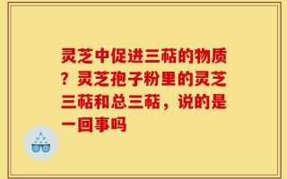 灵芝中促进三萜的物质？灵芝孢子粉里的灵芝三萜和总三萜，说的是一回事吗