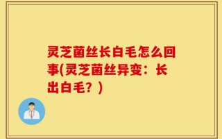 灵芝菌丝长白毛怎么回事(灵芝菌丝异变：长出白毛？)