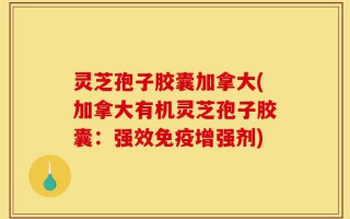 灵芝孢子胶囊加拿大(加拿大有机灵芝孢子胶囊：强效免疫增强剂)