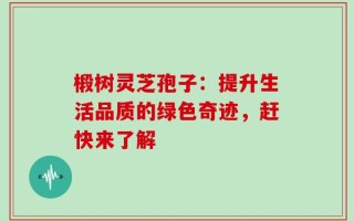 椴树灵芝孢子：提升生活品质的绿色奇迹，赶快来了解