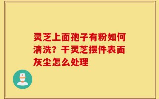 灵芝上面孢子有粉如何清洗？干灵芝摆件表面灰尘怎么处理