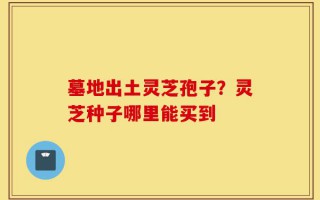 墓地出土灵芝孢子？灵芝种子哪里能买到