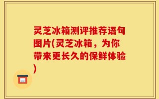 灵芝冰箱测评推荐语句图片(灵芝冰箱，为你带来更长久的保鲜体验)