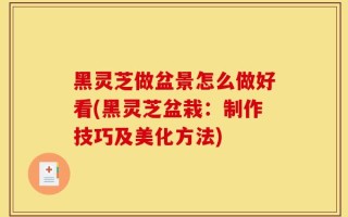 黑灵芝做盆景怎么做好看(黑灵芝盆栽：制作技巧及美化方法)