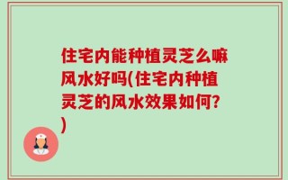 住宅内能种植灵芝么嘛风水好吗(住宅内种植灵芝的风水效果如何？)