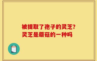被提取了孢子的灵芝？灵芝是蘑菇的一种吗