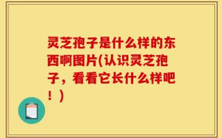 灵芝孢子是什么样的东西啊图片(认识灵芝孢子，看看它长什么样吧！)
