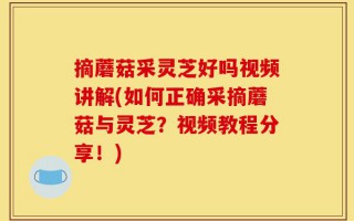 摘蘑菇采灵芝好吗视频讲解(如何正确采摘蘑菇与灵芝？视频教程分享！)