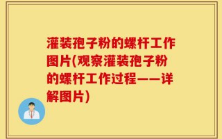 灌装孢子粉的螺杆工作图片(观察灌装孢子粉的螺杆工作过程——详解图片)