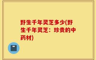 野生千年灵芝多少(野生千年灵芝：珍贵的中药材)