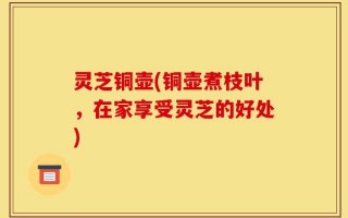 灵芝铜壶(铜壶煮枝叶，在家享受灵芝的好处)