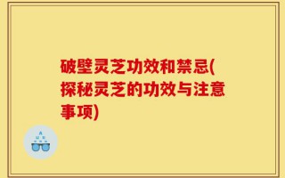 破壁灵芝功效和禁忌(探秘灵芝的功效与注意事项)