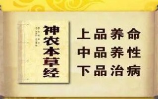 长期吃灵芝孢子粉有副作用吗？