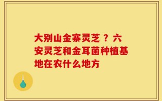 大别山金寨灵芝 ？六安灵芝和金耳菌种植基地在农什么地方