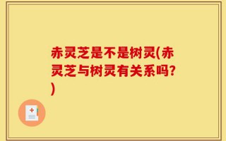 赤灵芝是不是树灵(赤灵芝与树灵有关系吗？)