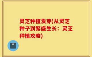 灵芝种植发芽(从灵芝种子到繁盛生长：灵芝种植攻略)
