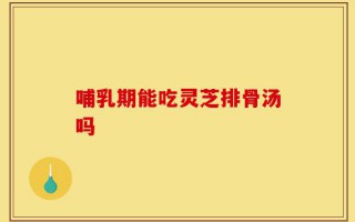 哺乳期能吃灵芝排骨汤吗
