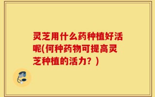 灵芝用什么药种植好活呢(何种药物可提高灵芝种植的活力？)