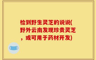 检到野生灵芝的说说(野外云南发现珍贵灵芝，或可用于药材开发)