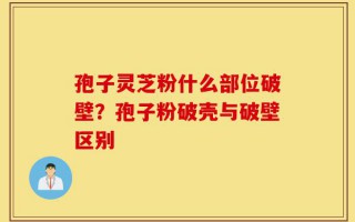 孢子灵芝粉什么部位破壁？孢子粉破壳与破壁区别