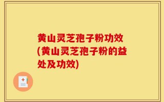 黄山灵芝孢子粉功效 (黄山灵芝孢子粉的益处及功效)