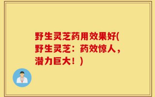 野生灵芝药用效果好(野生灵芝：药效惊人，潜力巨大！)