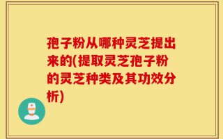 孢子粉从哪种灵芝提出来的(提取灵芝孢子粉的灵芝种类及其功效分析)