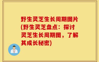 野生灵芝生长周期图片(野生灵芝盘点：探讨灵芝生长周期图，了解其成长秘密)