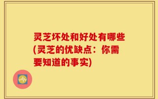 灵芝坏处和好处有哪些(灵芝的优缺点：你需要知道的事实)