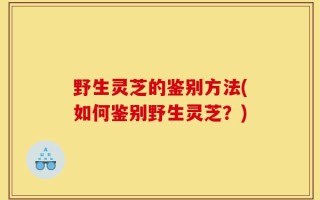 野生灵芝的鉴别方法(如何鉴别野生灵芝？)