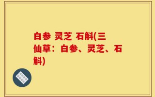 白参 灵芝 石斛(三仙草：白参、灵芝、石斛)