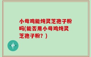 小母鸡能炖灵芝孢子粉吗(能否用小母鸡炖灵芝孢子粉？)