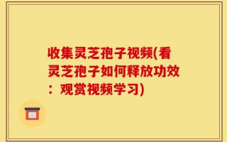 收集灵芝孢子视频(看灵芝孢子如何释放功效：观赏视频学习)