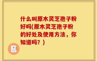 什么叫原木灵芝孢子粉好吗(原木灵芝孢子粉的好处及使用方法，你知道吗？)