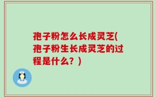 孢子粉怎么长成灵芝(孢子粉生长成灵芝的过程是什么？)