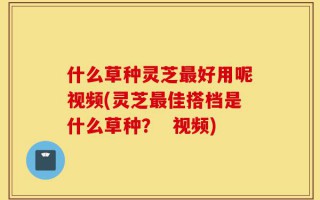什么草种灵芝最好用呢视频(灵芝最佳搭档是什么草种？  视频)