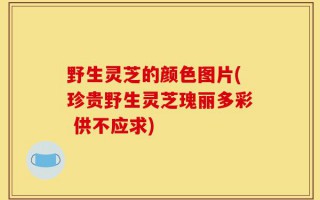野生灵芝的颜色图片(珍贵野生灵芝瑰丽多彩 供不应求)