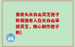 倔老头长白山灵芝孢子粉倔强老人在长白山采摘灵芝，精心制作孢子粉)