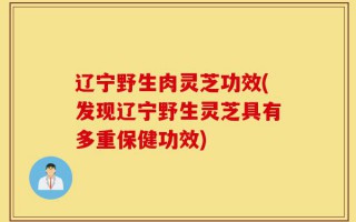 辽宁野生肉灵芝功效(发现辽宁野生灵芝具有多重保健功效)