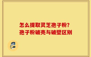 怎么提取灵芝孢子粉？孢子粉破壳与破壁区别