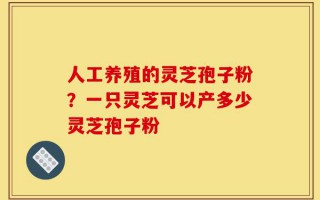 人工养殖的灵芝孢子粉？一只灵芝可以产多少灵芝孢子粉