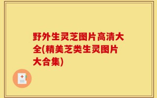 野外生灵芝图片高清大全(精美芝类生灵图片大合集)