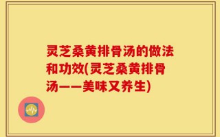 灵芝桑黄排骨汤的做法和功效(灵芝桑黄排骨汤——美味又养生)