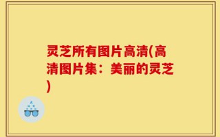 灵芝所有图片高清(高清图片集：美丽的灵芝)