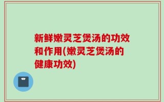 新鲜嫩灵芝煲汤的功效和作用(嫩灵芝煲汤的健康功效)