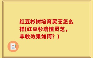 红豆杉树培育灵芝怎么样(红豆杉培植灵芝，丰收效果如何？)