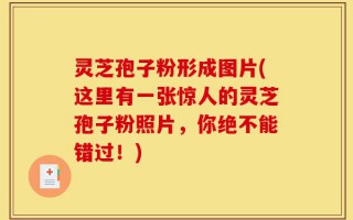 灵芝孢子粉形成图片(这里有一张惊人的灵芝孢子粉照片，你绝不能错过！)