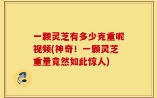 一颗灵芝有多少克重呢视频(神奇！一颗灵芝重量竟然如此惊人)