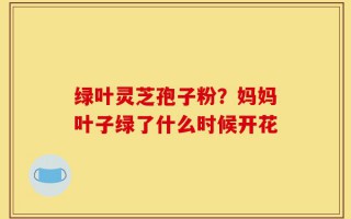绿叶灵芝孢子粉？妈妈叶子绿了什么时候开花