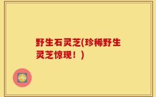 野生石灵芝(珍稀野生灵芝惊现！)